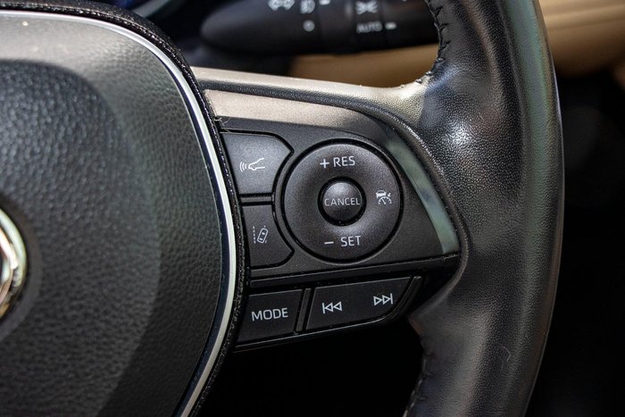 2020 Toyota RAV4 Cruiser