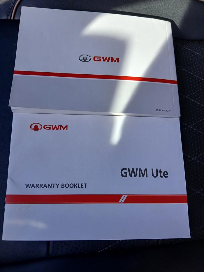 2023 GWM Ute Cannon-X