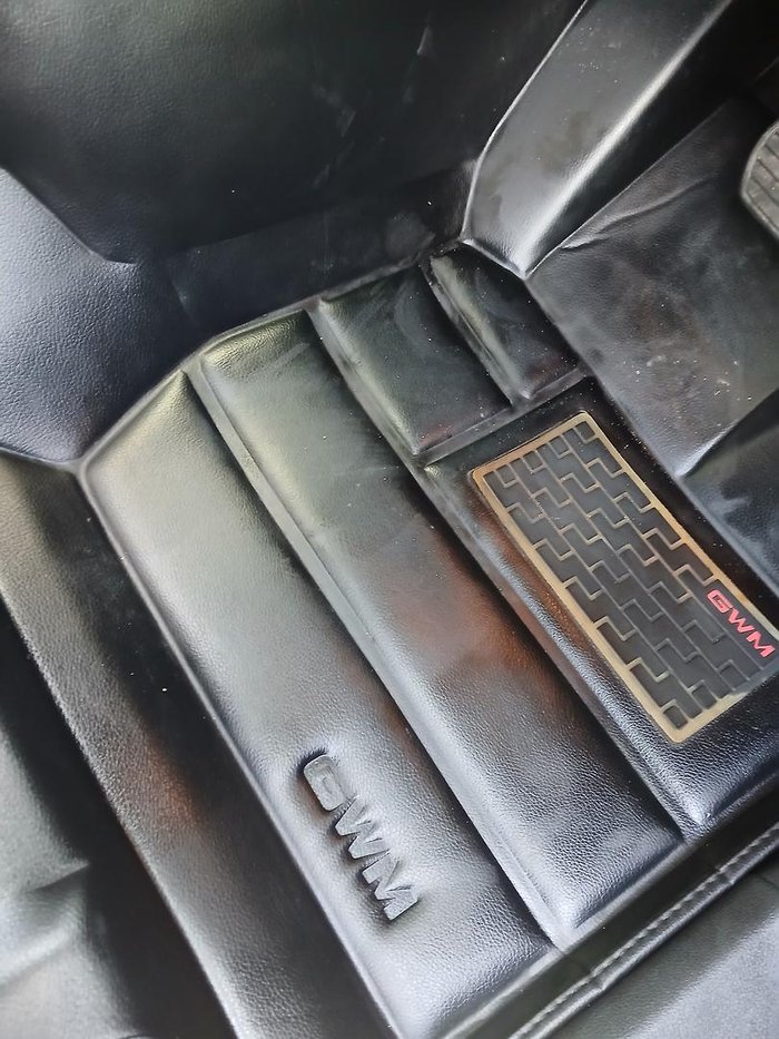 2023 GWM Ute Cannon-X