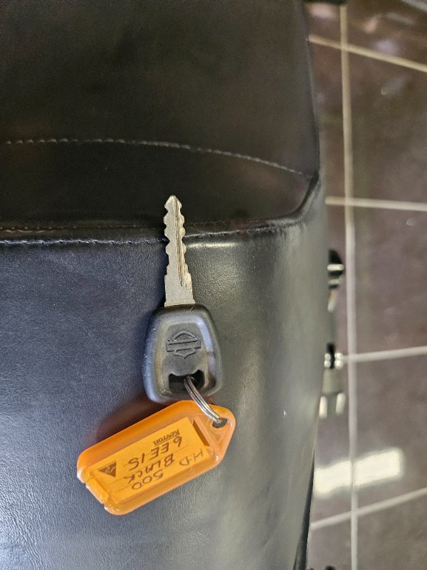 2015 HARLEY-DAVIDSON STREET 500 (LAMS) BLACK