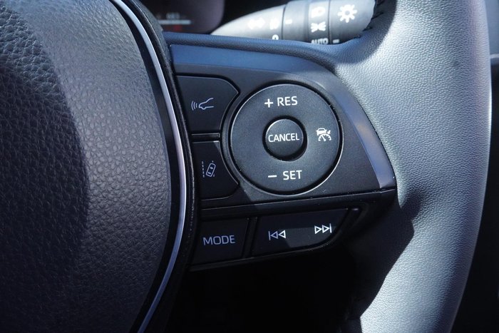 2024 Toyota RAV4 Cruiser