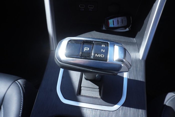 2020 GWM Ute Cannon-L