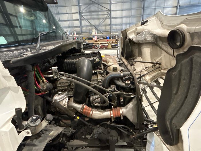 2022 Freightliner Cascadia 116 White