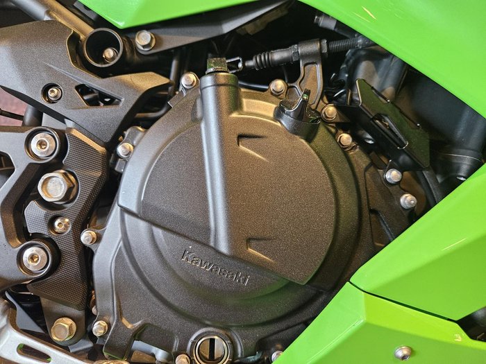 2023 Kawasaki Ninja 400 Special Edition (EX400G) Ninja Green