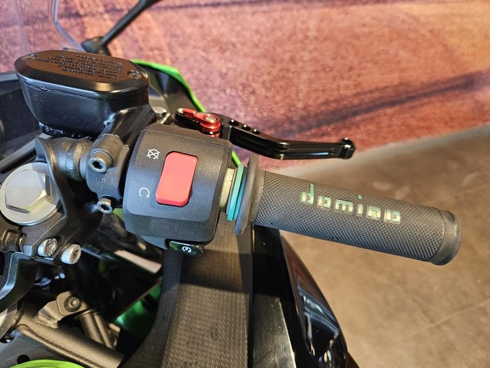 2023 Kawasaki Ninja 400 Special Edition (EX400G) Ninja Green