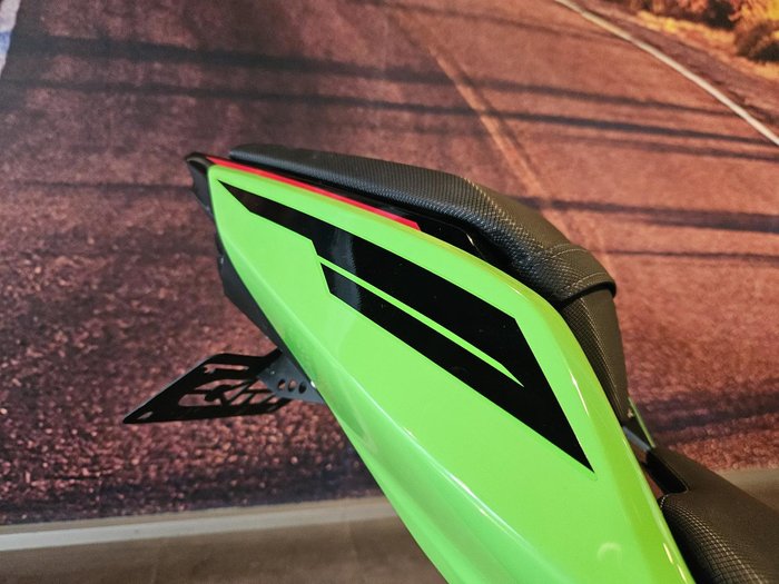 2023 Kawasaki Ninja 400 Special Edition (EX400G) Ninja Green