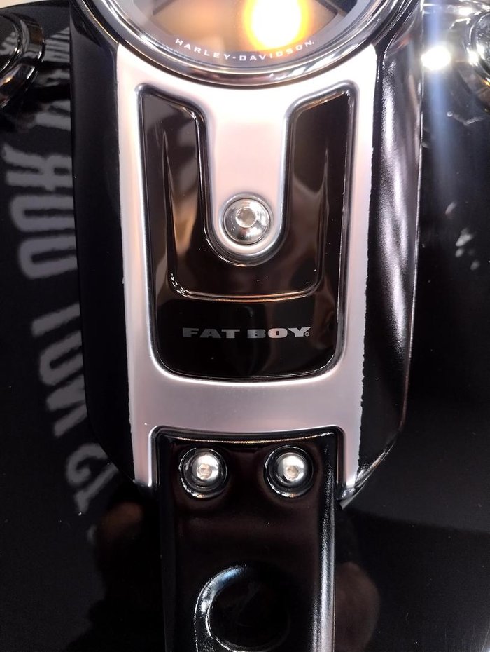 2020 Harley-Davidson Fat Boy 114 (FLFBS) Softail Black