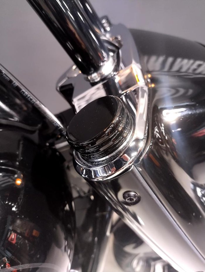 2020 Harley-Davidson Fat Boy 114 (FLFBS) Softail Black