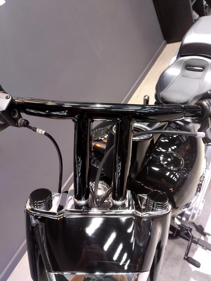 2020 Harley-Davidson Fat Boy 114 (FLFBS) Softail Black