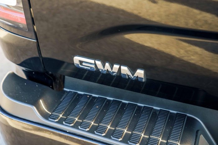 2022 GWM Ute Cannon-X