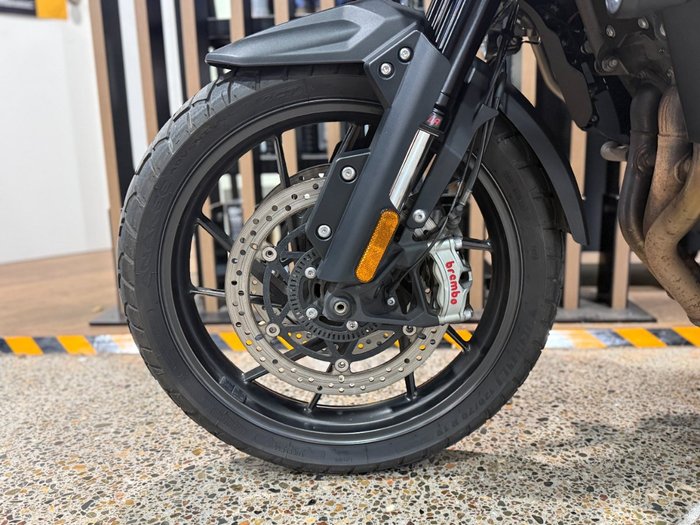 2022 Triumph TIGER 1200 GT EXPLORER WHITE