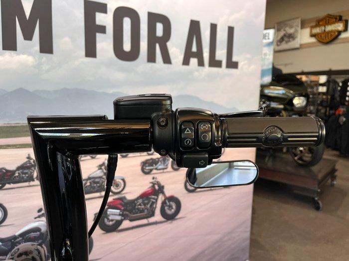 2019 HARLEY-DAVIDSON FXBRS BREAKOUT S (114) (SOLID)