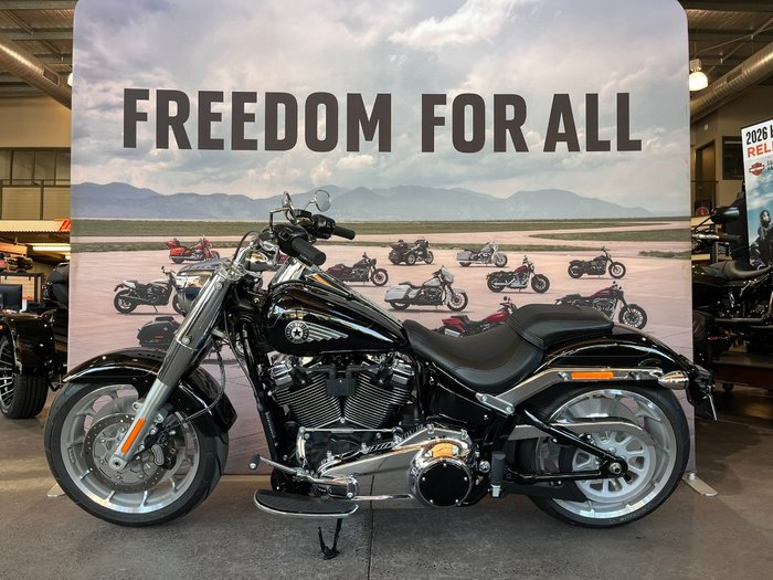 2025 HARLEY-DAVIDSON FLFB FAT BOY (117)
