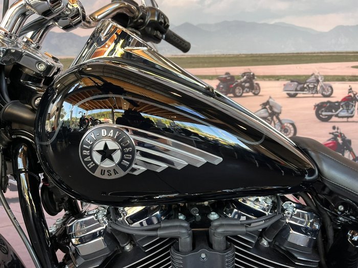 2025 HARLEY-DAVIDSON FLFB FAT BOY (117)