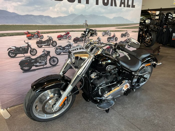 2025 HARLEY-DAVIDSON FLFB FAT BOY (117)