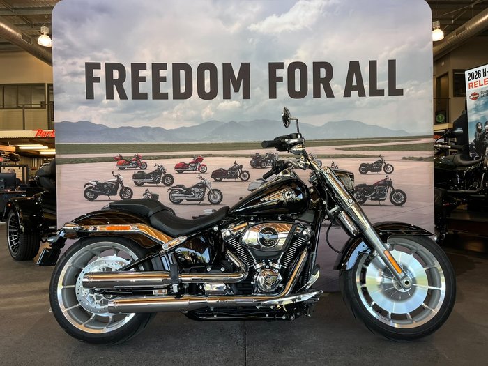 2025 HARLEY-DAVIDSON FLFB FAT BOY (117)