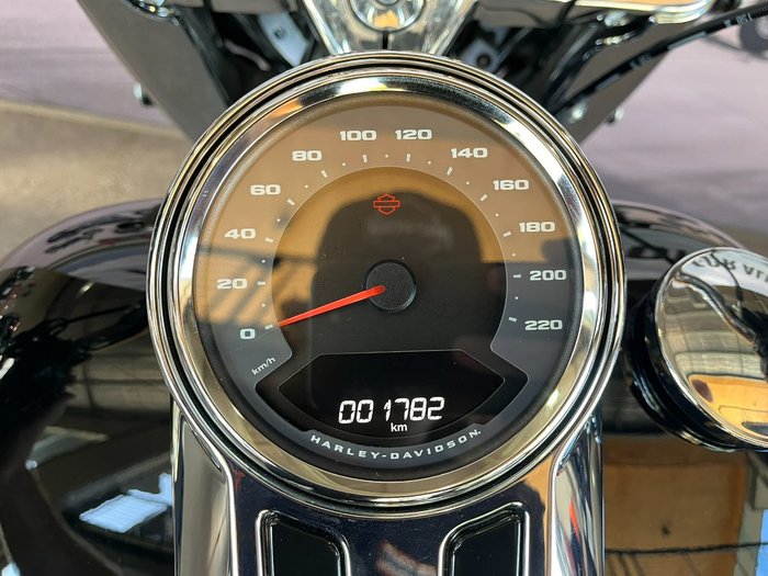 2025 HARLEY-DAVIDSON FLFB FAT BOY (117)