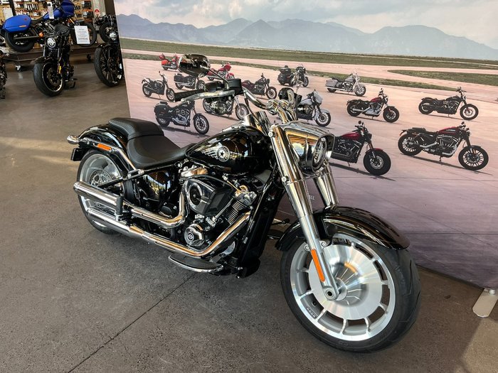 2025 HARLEY-DAVIDSON FLFB FAT BOY (117)