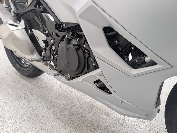 2025 Kawasaki NINJA 500 Green