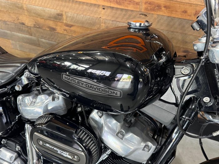 2021 Harley-Davidson Softail Standard 107 (FXST)