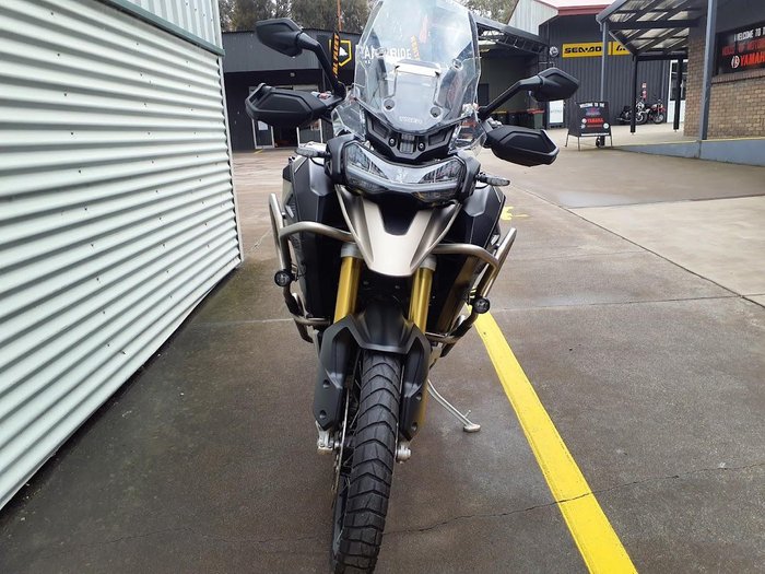 2024 Triumph Tiger 1200 Rally Explorer Tiger Gold