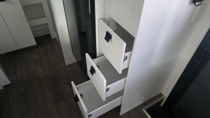 2025 Windsor Daintree