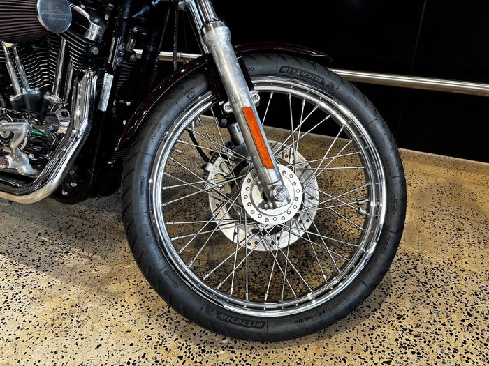 2007 Harley-Davidson 1200 Custom (XL1200C)