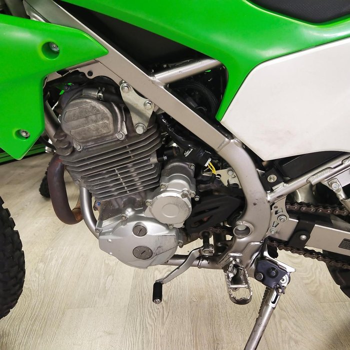 2019 Kawasaki KLX230 KLX Green