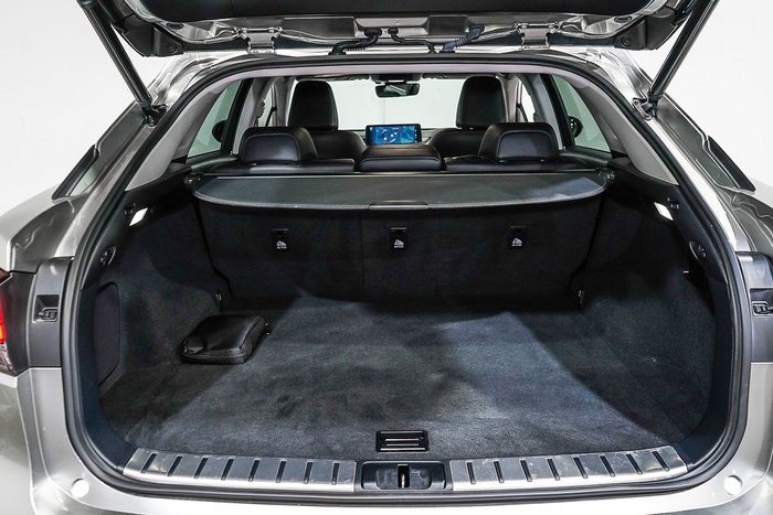 2021 Lexus RX RX300 Crafted Edition