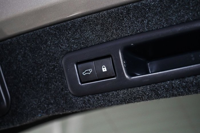 2021 Lexus RX RX300 Crafted Edition