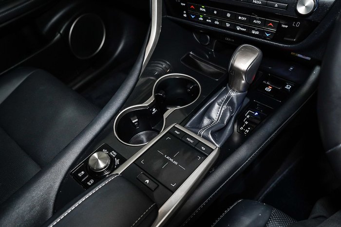 2021 Lexus RX RX300 Crafted Edition