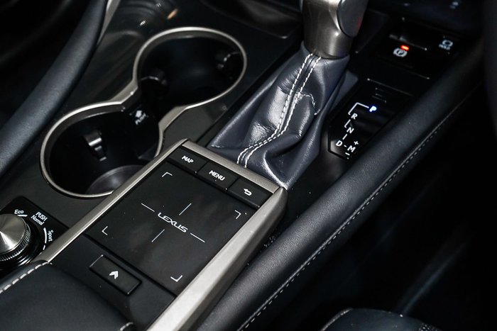 2021 Lexus RX RX300 Crafted Edition