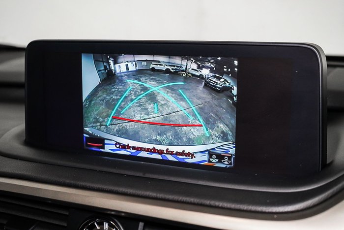 2021 Lexus RX RX300 Crafted Edition