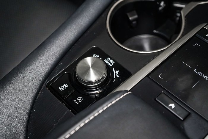 2021 Lexus RX RX300 Crafted Edition