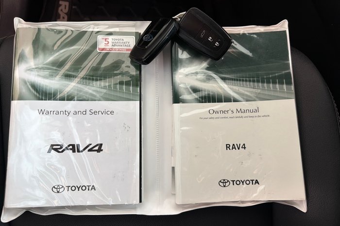 2020 Toyota RAV4 Cruiser