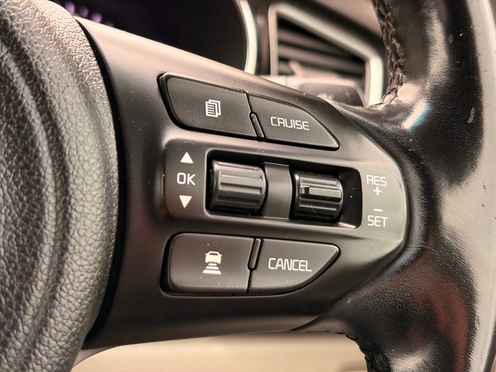 2016 Kia Carnival Platinum