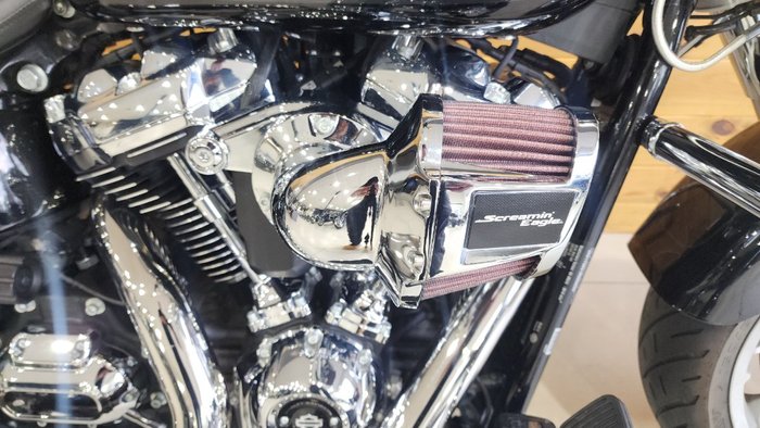 2022 HARLEY-DAVIDSON FLFBS FAT BOY S (114)
