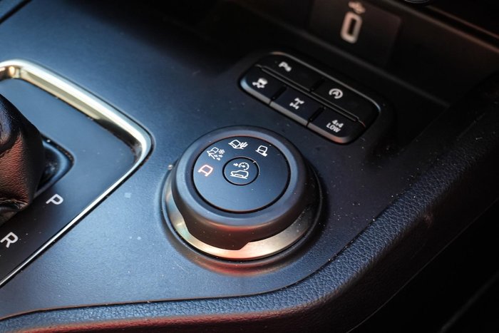 2019 Ford Everest Trend