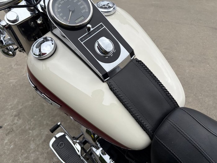 2013 HARLEY-DAVIDSON FLSTN SOFTAIL DELUXE