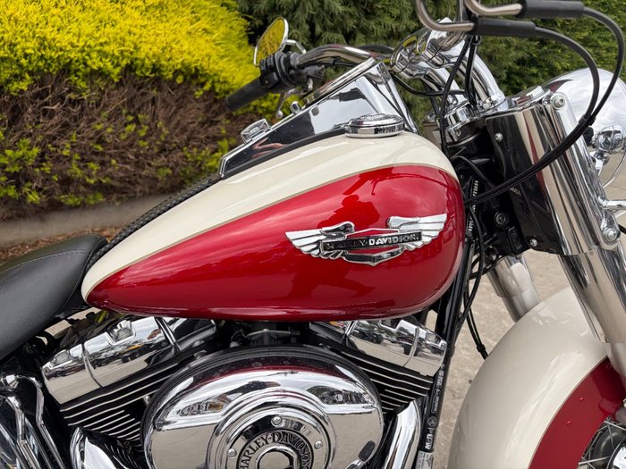 2013 HARLEY-DAVIDSON FLSTN SOFTAIL DELUXE