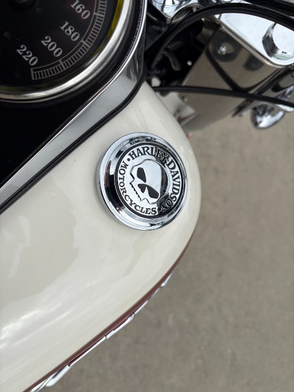 2013 HARLEY-DAVIDSON FLSTN SOFTAIL DELUXE