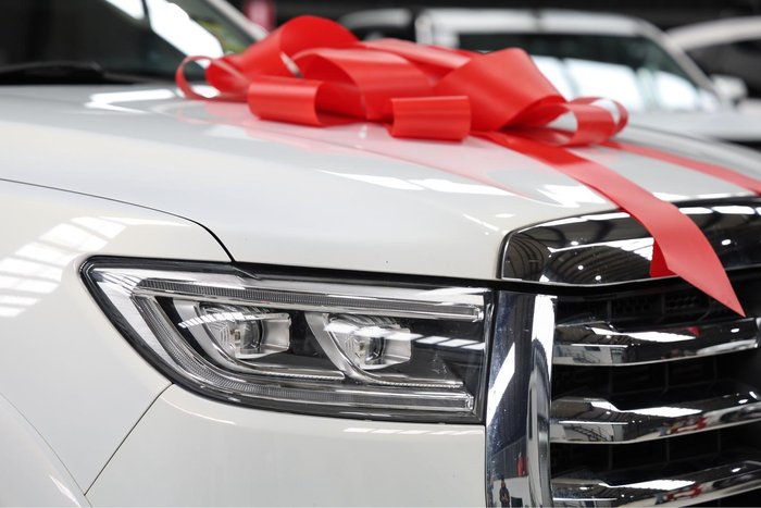 2022 GWM Ute Cannon-X NPW 4X4 Dual Range Pearl White