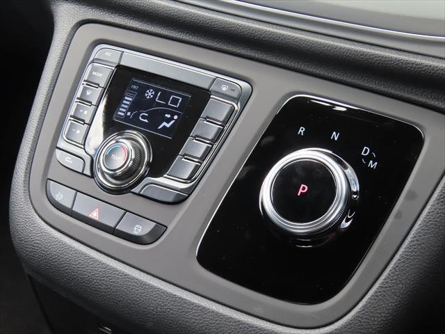 2026 LDV G10