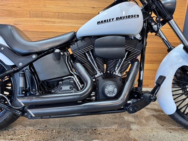 2009 HARLEY-DAVIDSON FXSTB NIGHT TRAIN