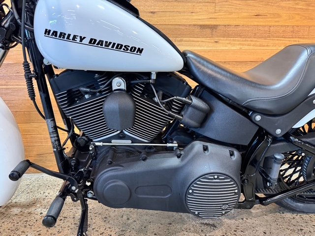 2009 HARLEY-DAVIDSON FXSTB NIGHT TRAIN