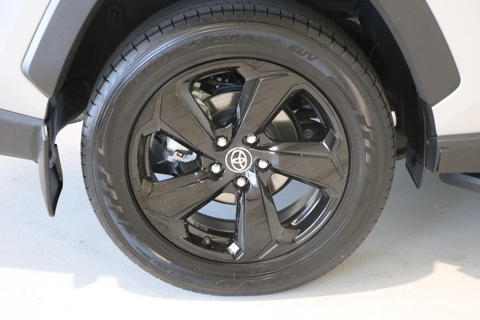 2021 Toyota RAV4 Cruiser