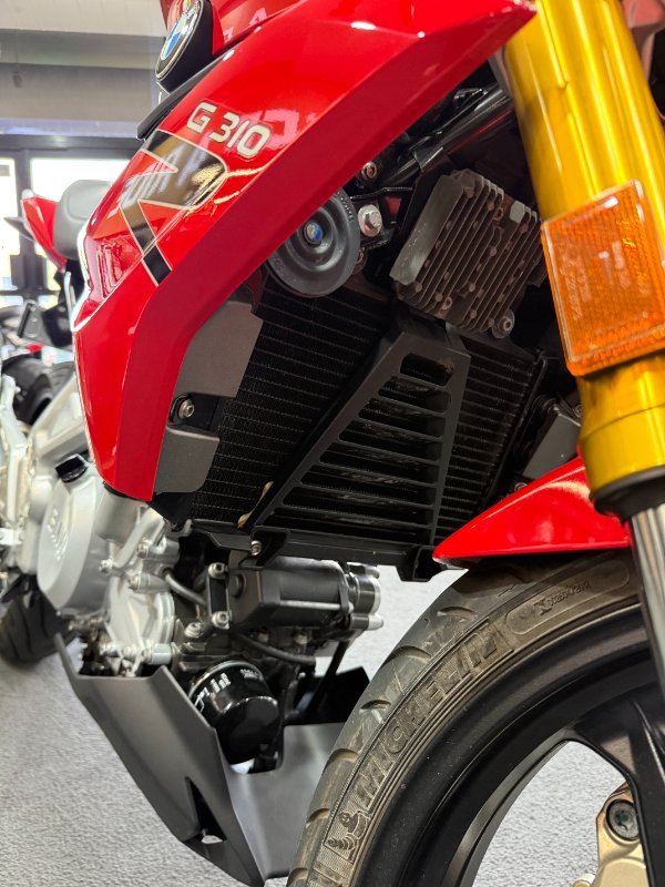 2019 BMW Motorrad G 310R Red