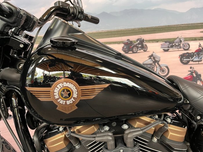 2020 HARLEY-DAVIDSON FLFBSANV FAT BOY 114 30TH ANNI
