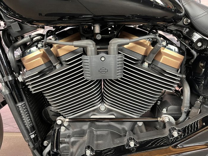 2020 HARLEY-DAVIDSON FLFBSANV FAT BOY 114 30TH ANNI