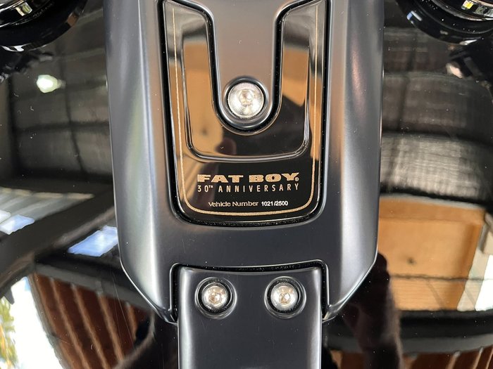 2020 HARLEY-DAVIDSON FLFBSANV FAT BOY 114 30TH ANNI